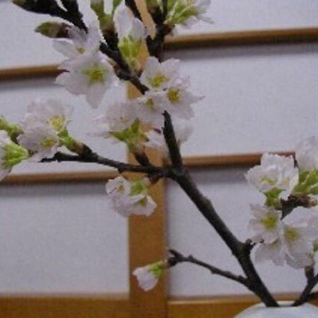 Wakaba Ryokan / Vacation Stay 29366 Sakata Zewnętrze zdjęcie
